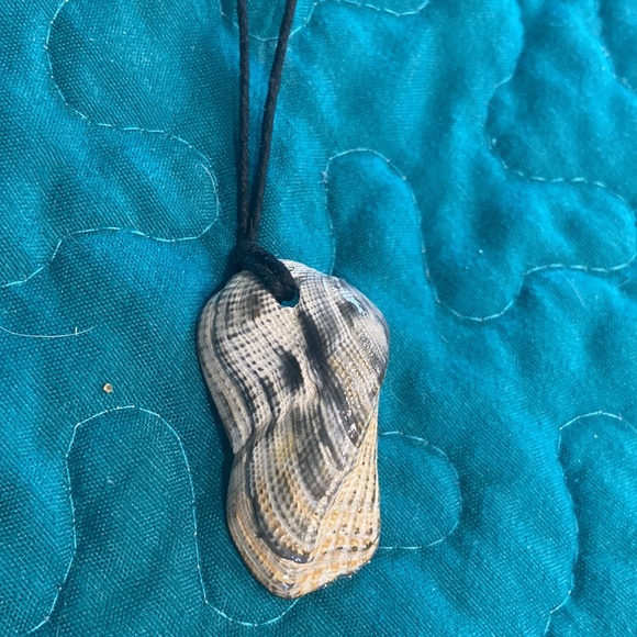 Sea shell - Picture 2 of 2